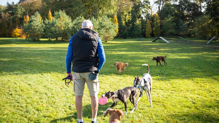 Visitor enjoying the dog field at Rowallane Garden